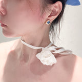 Brushed Blue Sapphire Hexa - Star Earrings - floysun