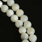 Golden Conch White Shell Dream Necklace - floysun