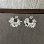 Icy Sparkle Tassel C - Hoop Earrings - floysun