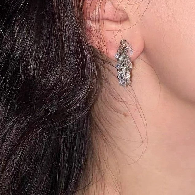 Icy Sparkle Tassel C - Hoop Earrings - floysun