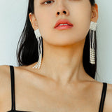 Molten Elegance Tassel Earrings - floysun