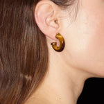 Natural Tiger’s Eye & Red Stone Hoop Earrings - floysun