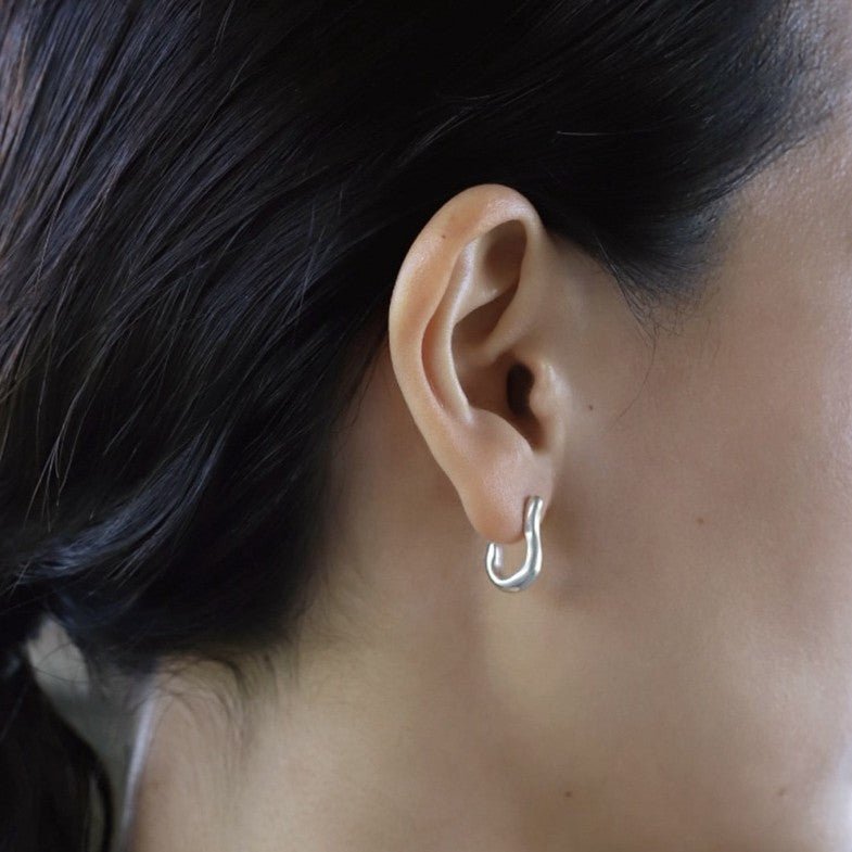 New Heart Series Heart - Shaped Swan Curve Earrings - floysun