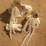Ocean's Hidden Treasure Aquamarine Earrings Tassel Drop Design - floysun