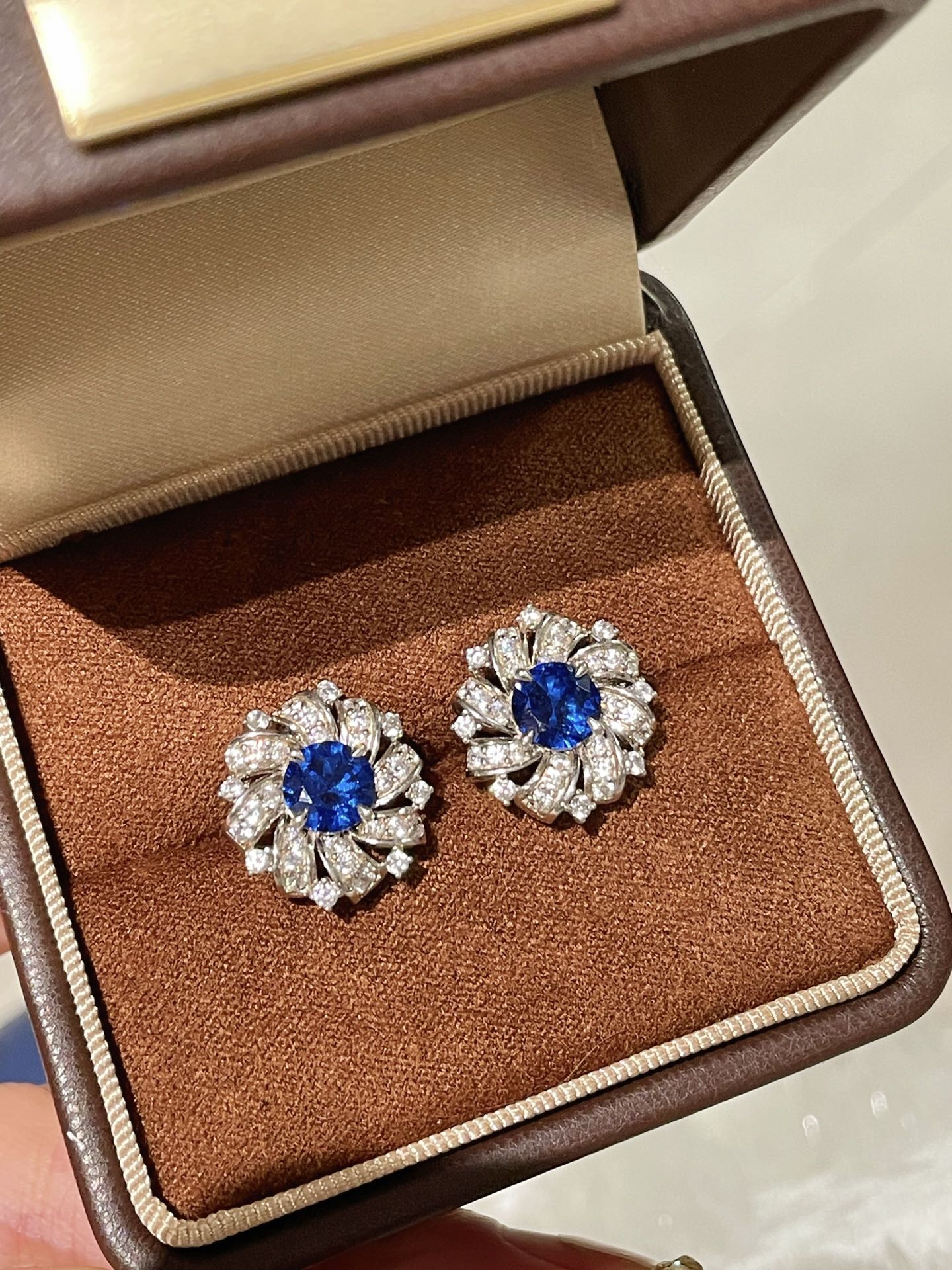 Whirlwind Blue Sapphire Earrings - floysun