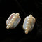 Elongated baroque pearl studs with vertical rows of small pearls