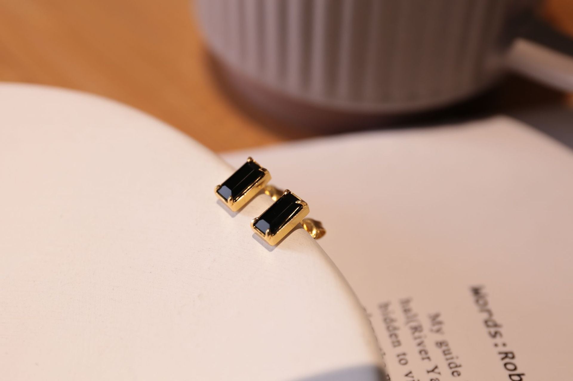 Black Zircon Stud Earrings - floysun