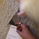 Chunky Bean Ear Cuff & Pinky Ring 2 - in - 1 - floysun