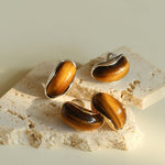 Classic Tiger’s Eye Stud Earrings - floysun