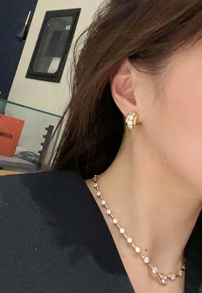 Double Band High Carbon Diamond Hoop Earrings - floysun