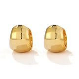 Faceted Chunky Huggie Hoop Earrings - floysun