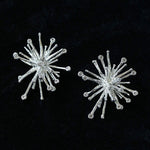 Firework Statement Earrings - floysun