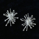 Firework Statement Earrings - floysun