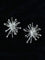 Firework Statement Earrings - floysun