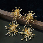 Firework Statement Earrings - floysun