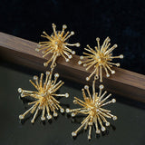 Firework Statement Earrings - floysun