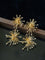 Firework Statement Earrings - floysun