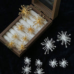 Firework Statement Earrings - floysun