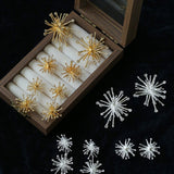 Firework Statement Earrings - floysun
