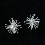 Firework Statement Earrings - floysun