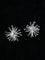 Firework Statement Earrings - floysun