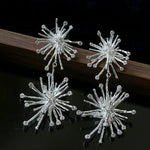 Firework Statement Earrings - floysun