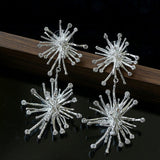 Firework Statement Earrings - floysun