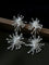 Firework Statement Earrings - floysun