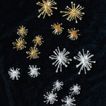 Firework Statement Earrings - floysun
