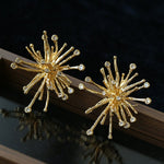Firework Statement Earrings - floysun