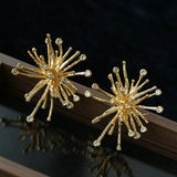 Firework Statement Earrings - floysun