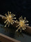 Firework Statement Earrings - floysun