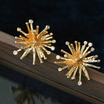Firework Statement Earrings - floysun
