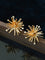 Firework Statement Earrings - floysun