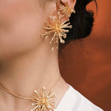 Firework Statement Earrings - floysun