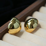 Geometric Cubic Zirconia Polished Metallic Stud Earrings - floysun