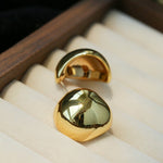 Geometric Cubic Zirconia Polished Metallic Stud Earrings - floysun