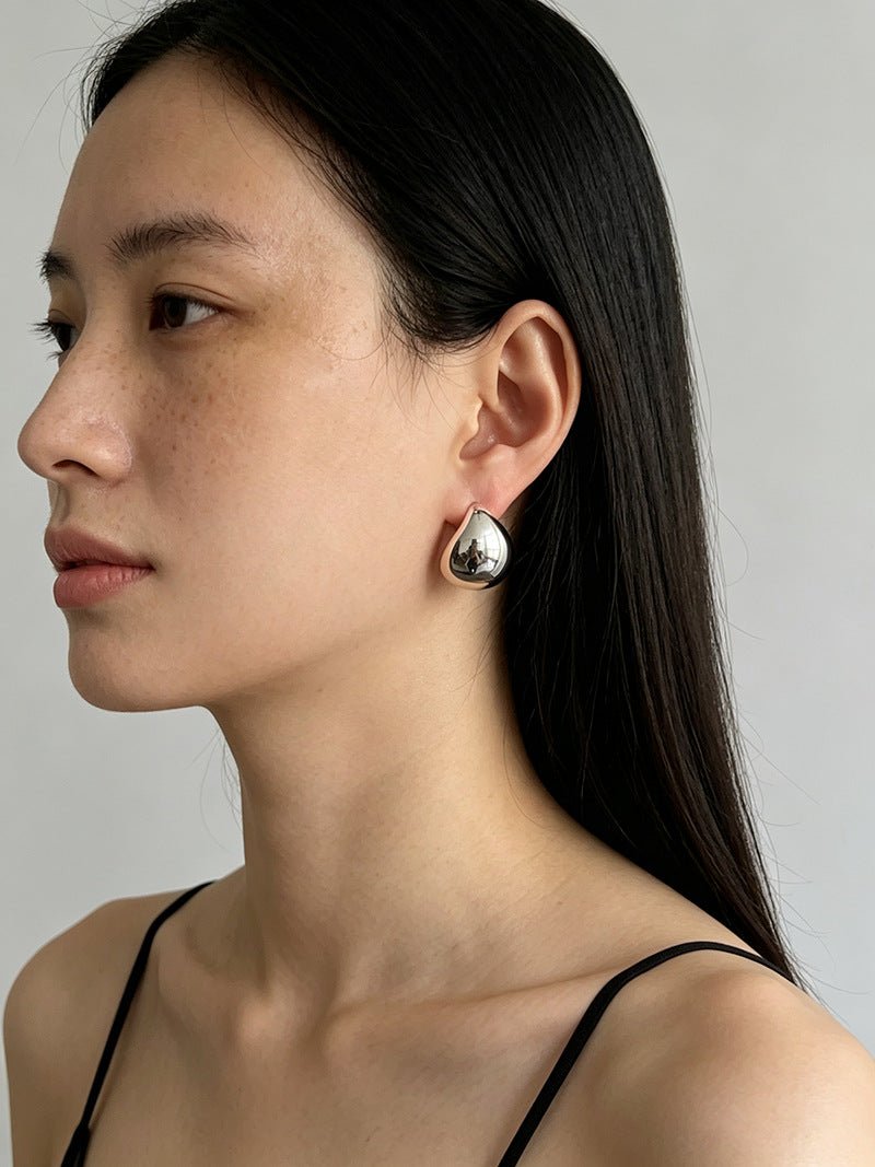 Geometric Cubic Zirconia Polished Metallic Stud Earrings - floysun