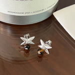 Harvest Wheat Four - Leaf Tiger Eye Earrings - floysun