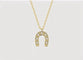 Horseshoe Lucky CZ Necklace - floysun