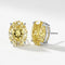 Ice Flower Cut 5A Color Crystal Stud Earrings - floysun