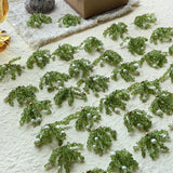 Luminous Peridot & Pearl Drop Earrings | Natural Gemstone Fringe Earrings - floysun