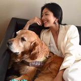 Minimal Sculptural C - Shape Teardrop Stud Earrings - floysun