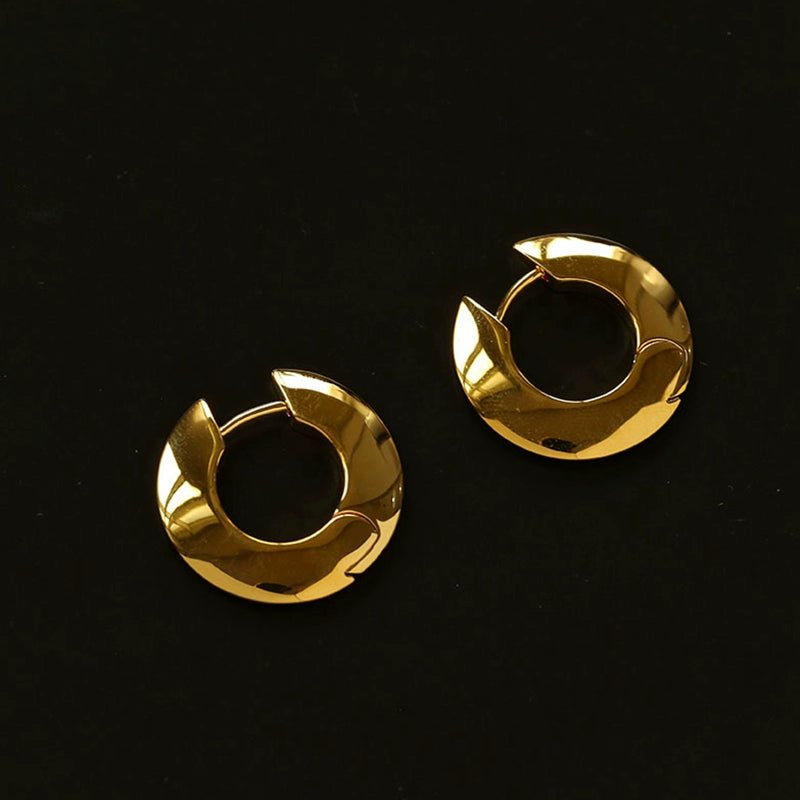Minimalist Metal Chunky Oval Hoop Earrings - floysun