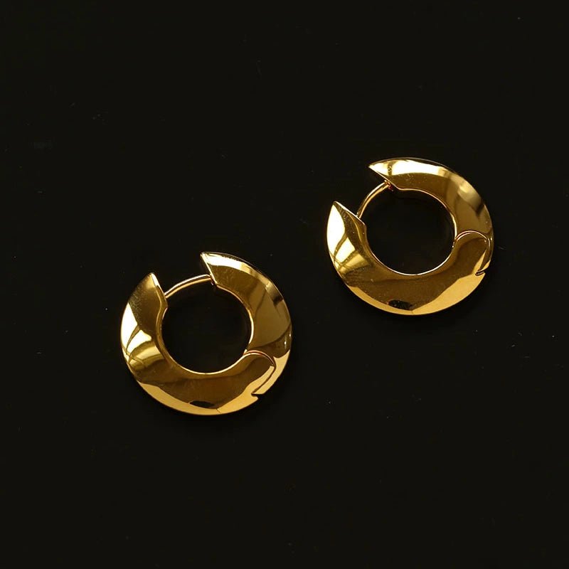 Minimalist Metal Chunky Oval Hoop Earrings - floysun