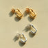 New Heart Series Heart - Shaped Swan Curve Earrings - floysun