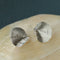 Ocean Style Shell & Paved Starfish Stud Earrings - floysun