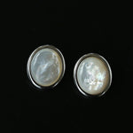 Oval Mother - of - Pearl & Tiger’s Eye Stud Earrings - floysun