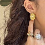 Oval Swirl Black Agate Earrings - floysun