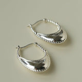 Oval U - Shaped Geometric Earrings - floysun